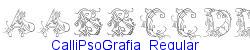 CalliPsoGrafia  Regular  251K (2003-01-22)