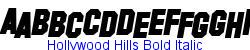 Hollywood Hills Bold Italic   57K