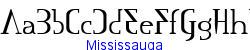 Mississauga   21K (2002-12-27)