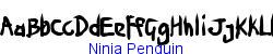 Ninja Penguin   16K (2002-12-27)