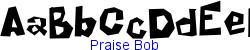 Praise Bob    7K (2003-01-22)