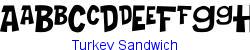 Turkey Sandwich    7K (2002-12-27)