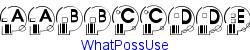 WhatPossUse   32K (2002-12-27)
